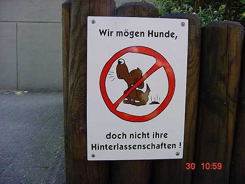 Schild Keine Hundetoilette