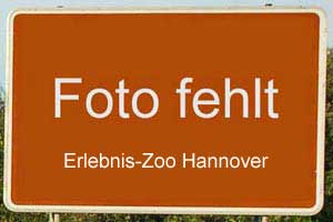 Touristisches Hinweisschild A7 Erlebnis-Zoo Hannover