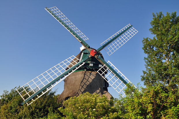 Die Mühle "Charlotte" ist das bauwerkliche Symbol der Geltinger Birk und begrüßt Ausflügler und Urlauber am Eingang des Naturschutzgebietes vom Geltinger Noor aus