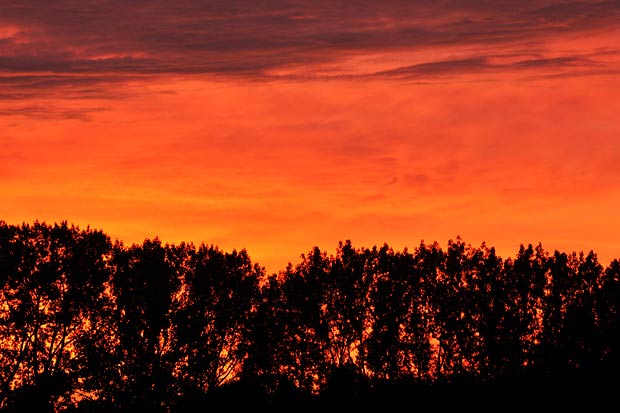 Sonnenuntergang in Schleswig-Holstein