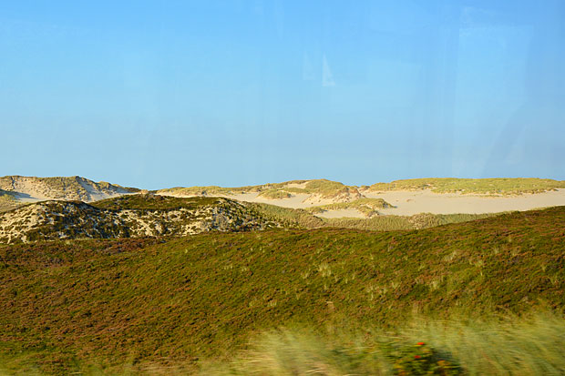 Typischen Dünengebiet auf der Insel Sylt